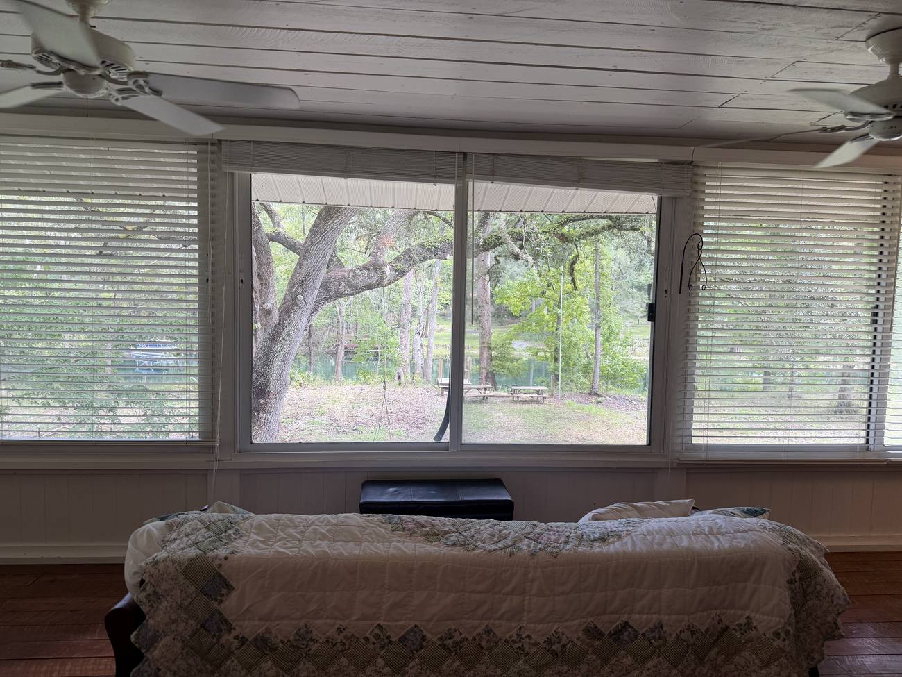 Wide windows looking out over the yard and the trees