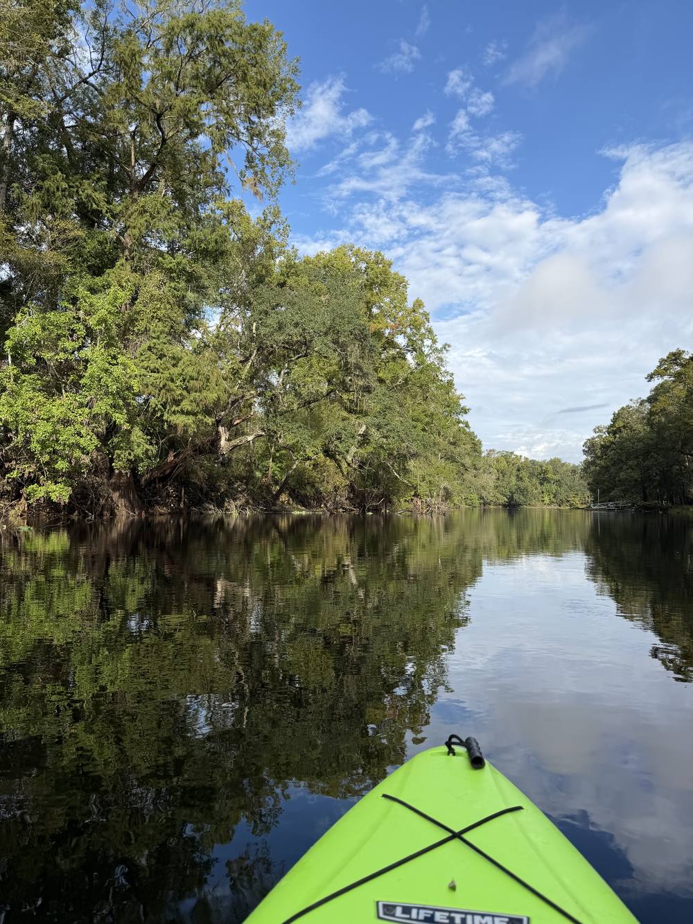 The view from a kayak on the glassy Santa Fe River